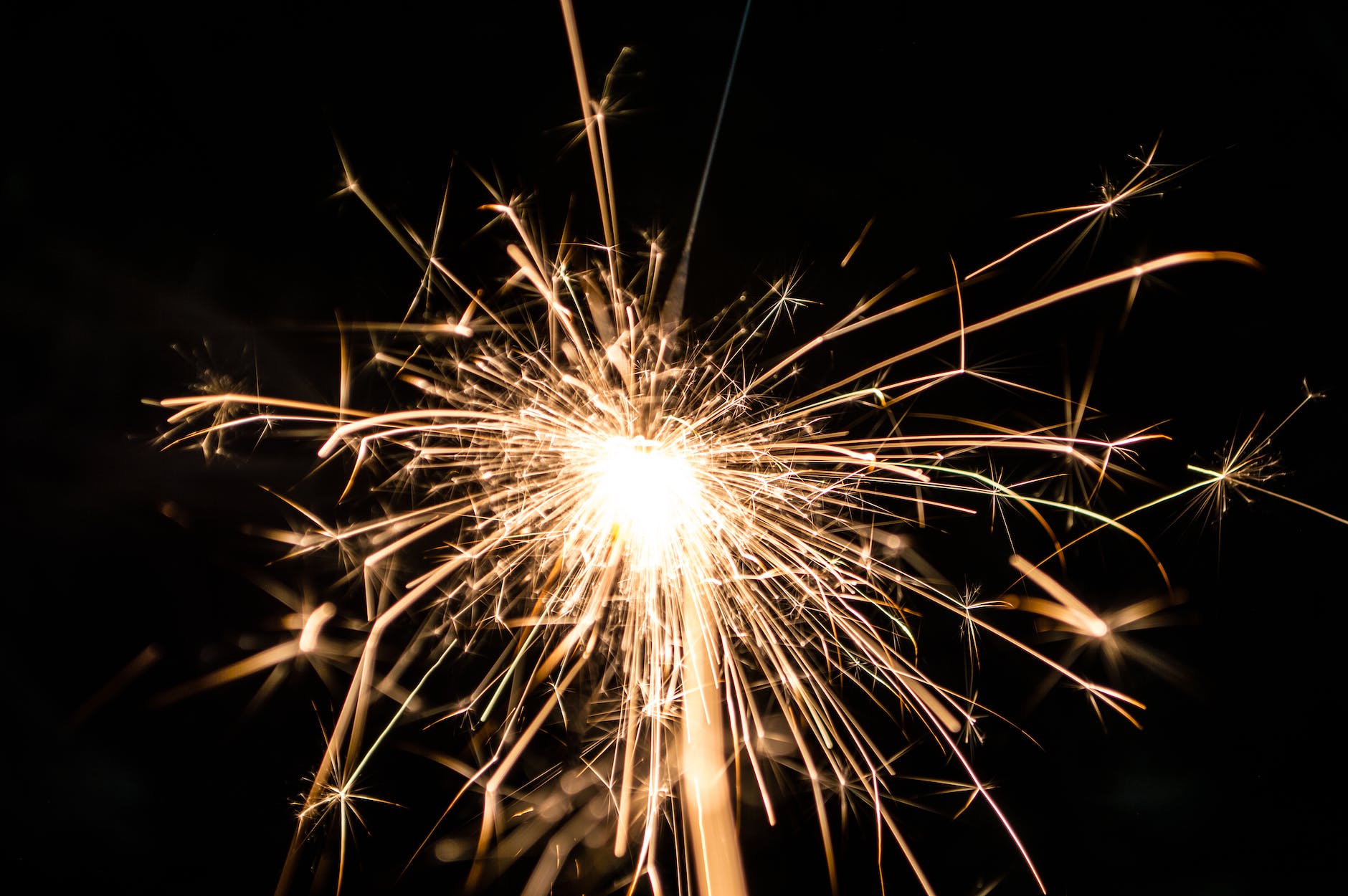 macro photography of firecracker